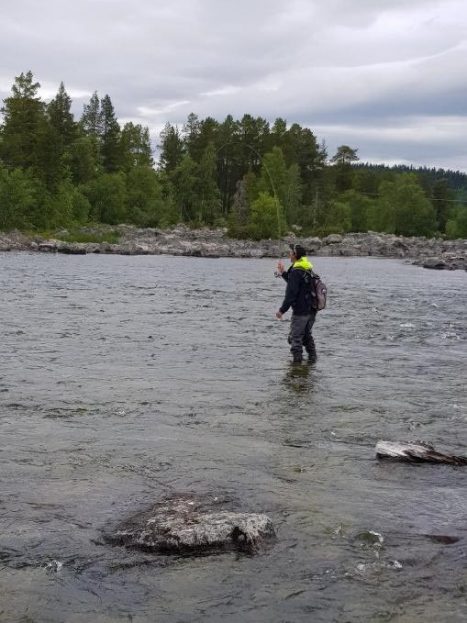 Mellanstrom-peche-laponie-015